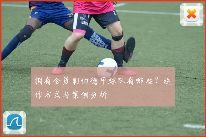 拥有会员制的德甲球队有哪些？运作方式与案例分析