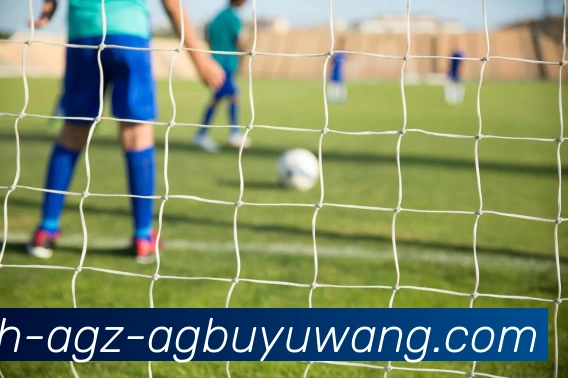 AG捕鱼王官网平台生态图