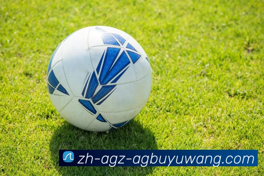 AG捕鱼王官网APP 封面图